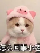 88爱彩登录官网欢迎你 (yuki69818223)2022-12-06 01:57:39ハーキー HRKYクリスマスは嫁がライブでいない...朝からパチンコ行く