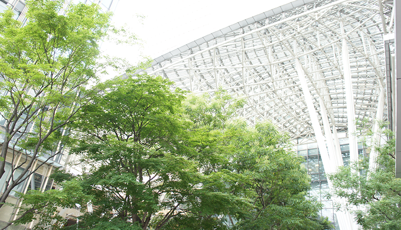 6165金沙总站登录平台 国力は、焦龍島の他の主要勢力に匹敵するものではありません。